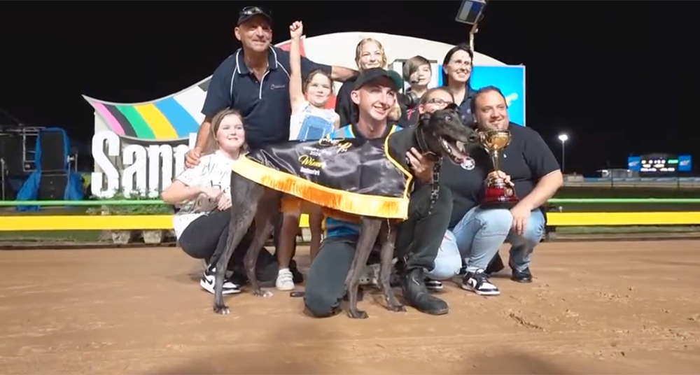 Explicit wins the 2024 Melbourne Cup at Sandown